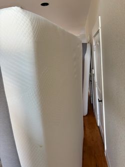 New king beds