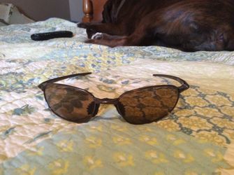 Sunglasses Nike Max Optics Revolve color Walnut