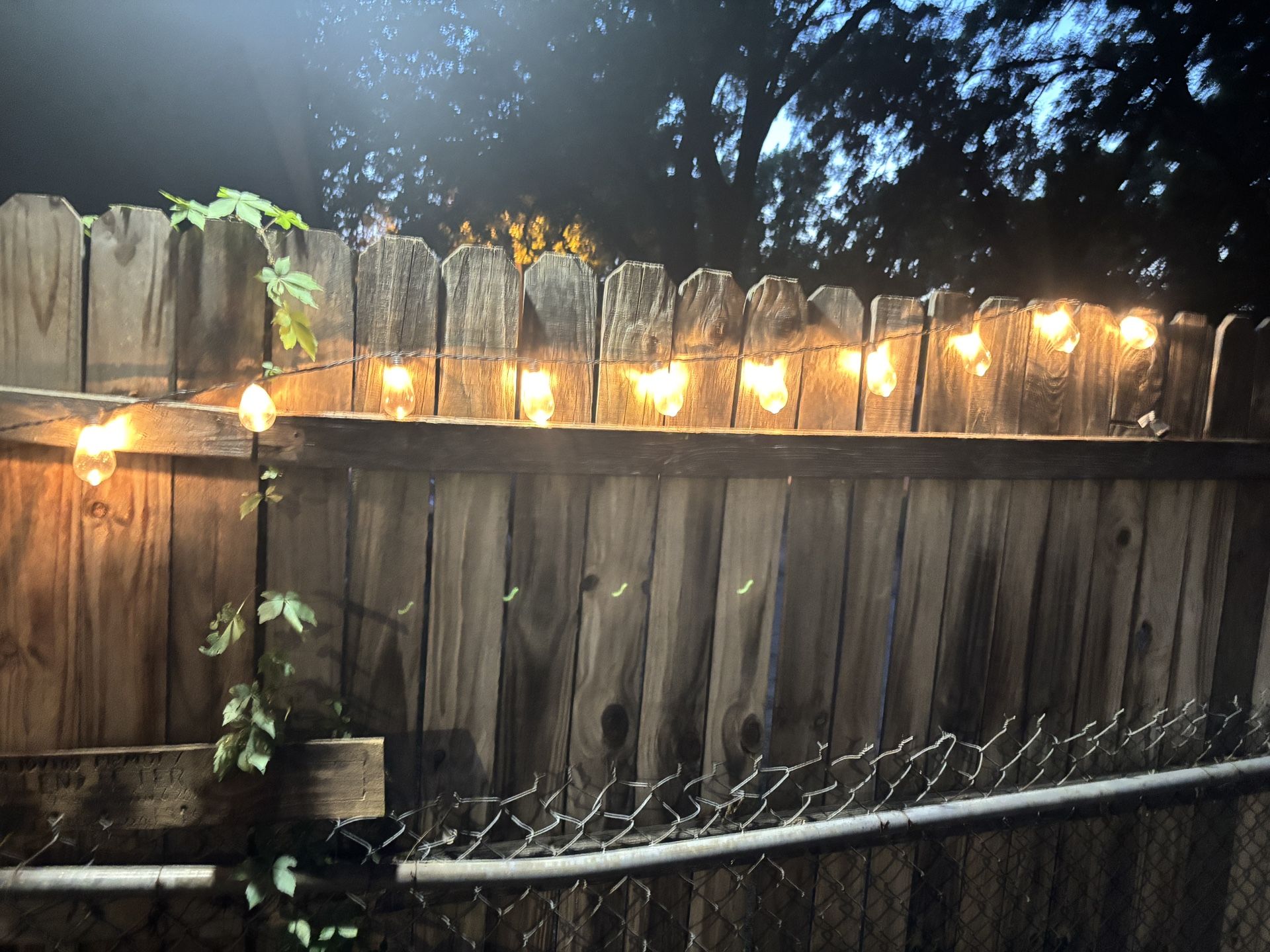 Lights Small Bulbs For Fence Or Pool