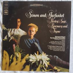 Simon & Garfunkel vynil