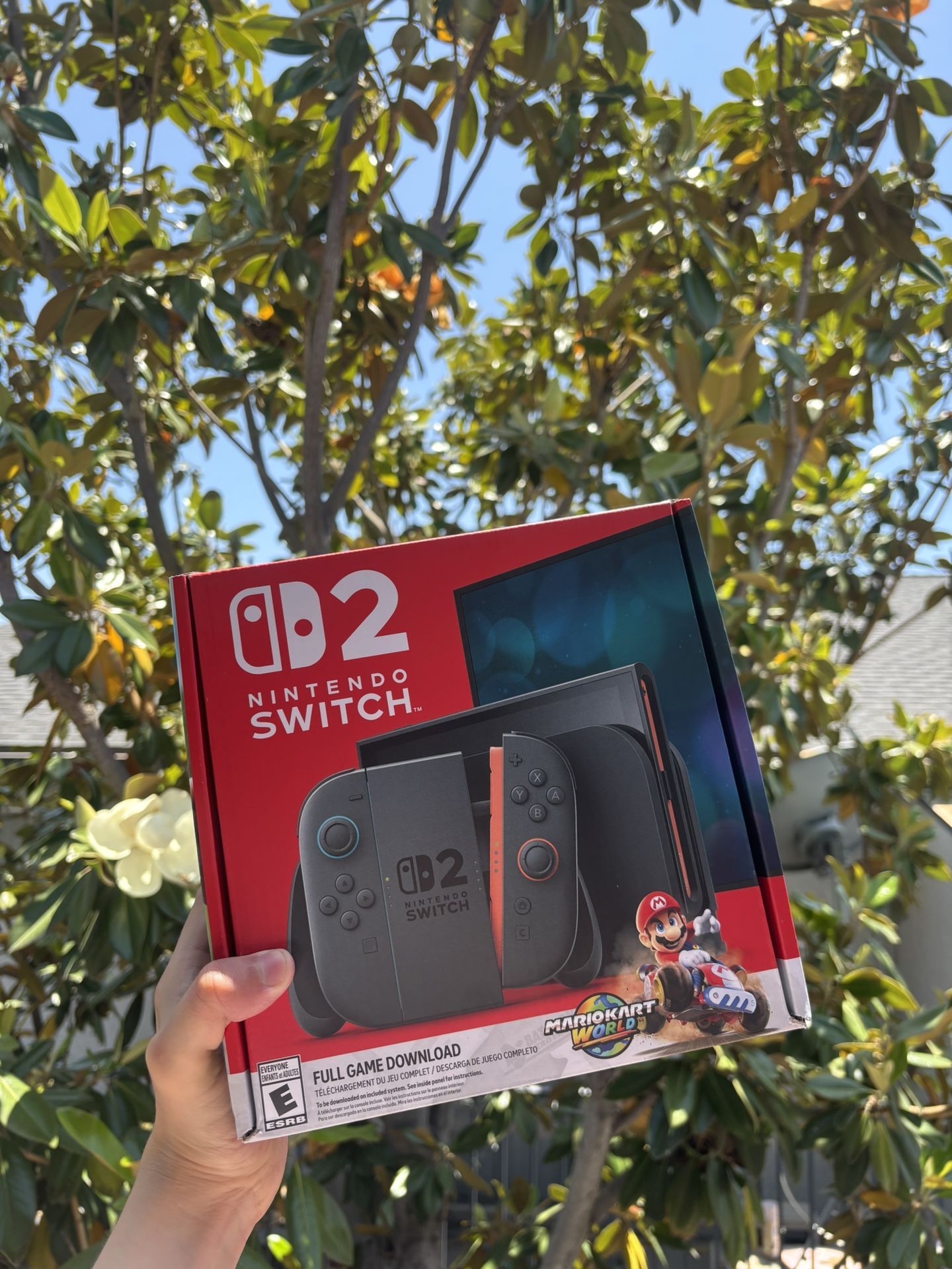 Nintendo Switch 2 Mario Kart World Bundle