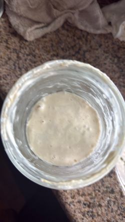 Sourdough starter