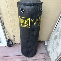 Everest Punching Bag 