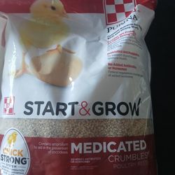 Small Chick Food 