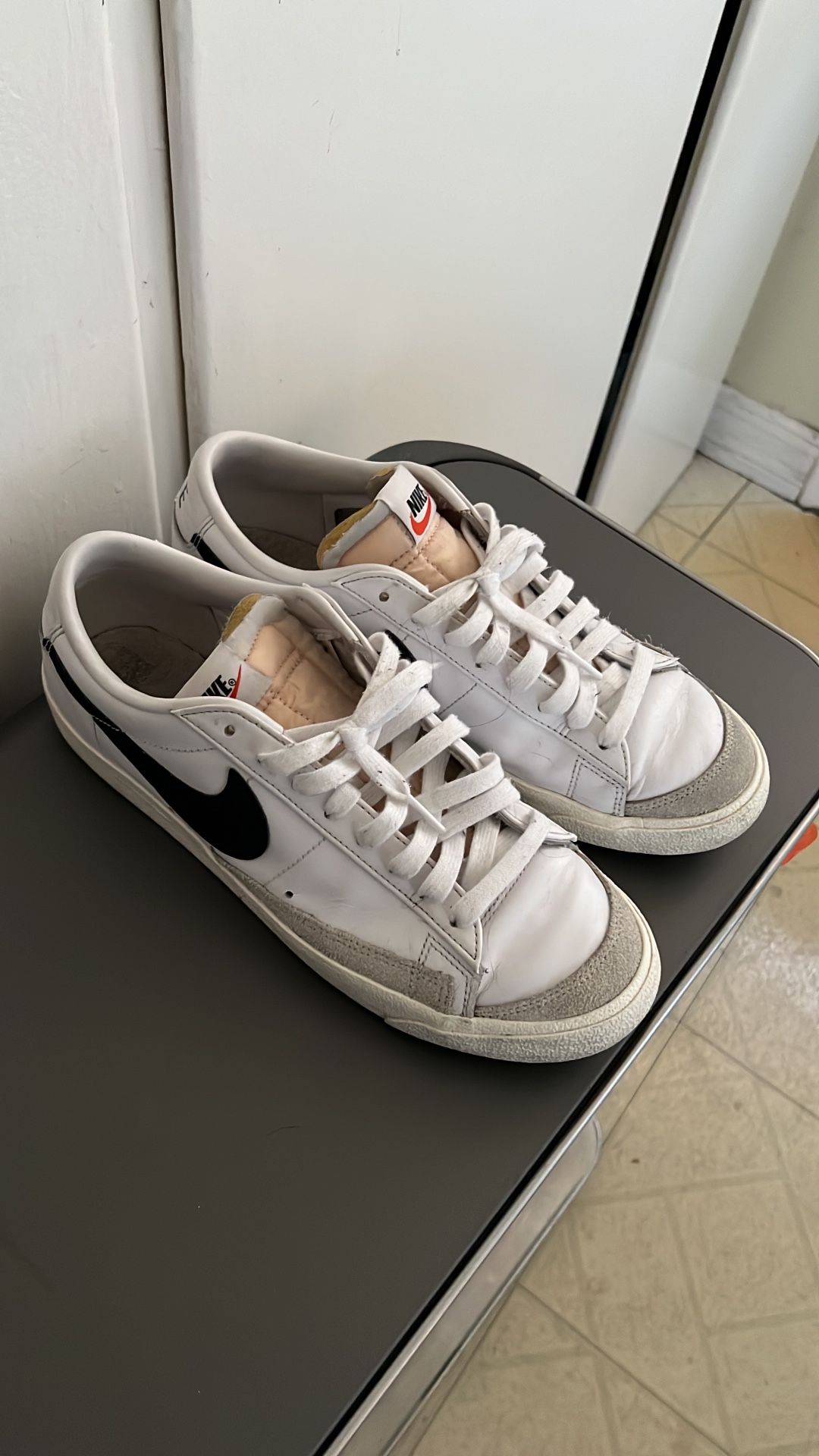 Nike SB