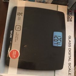 Taylor Glass Digital Scale 