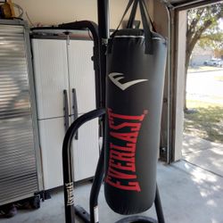Everlast Stand- Dual Station Heavy Bag Hook And Speed Bag Hook