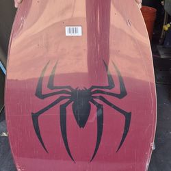 Skim Board / Wake Board