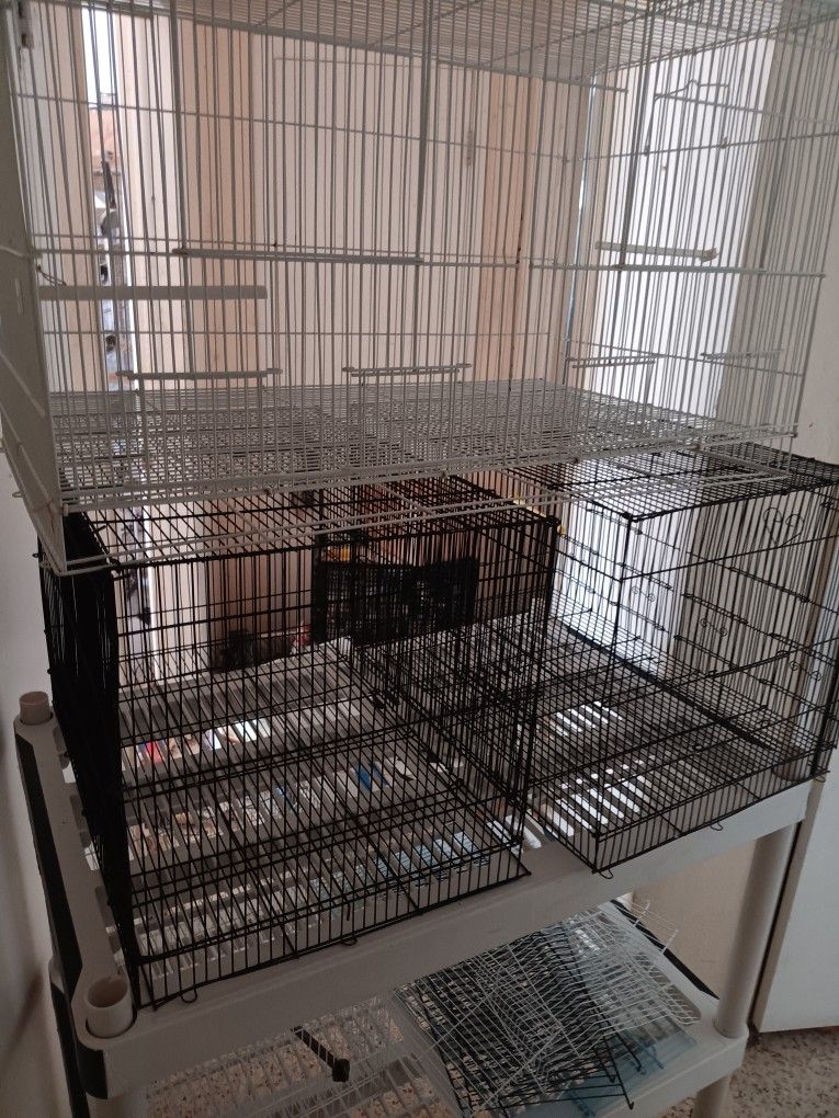 Bird Cages