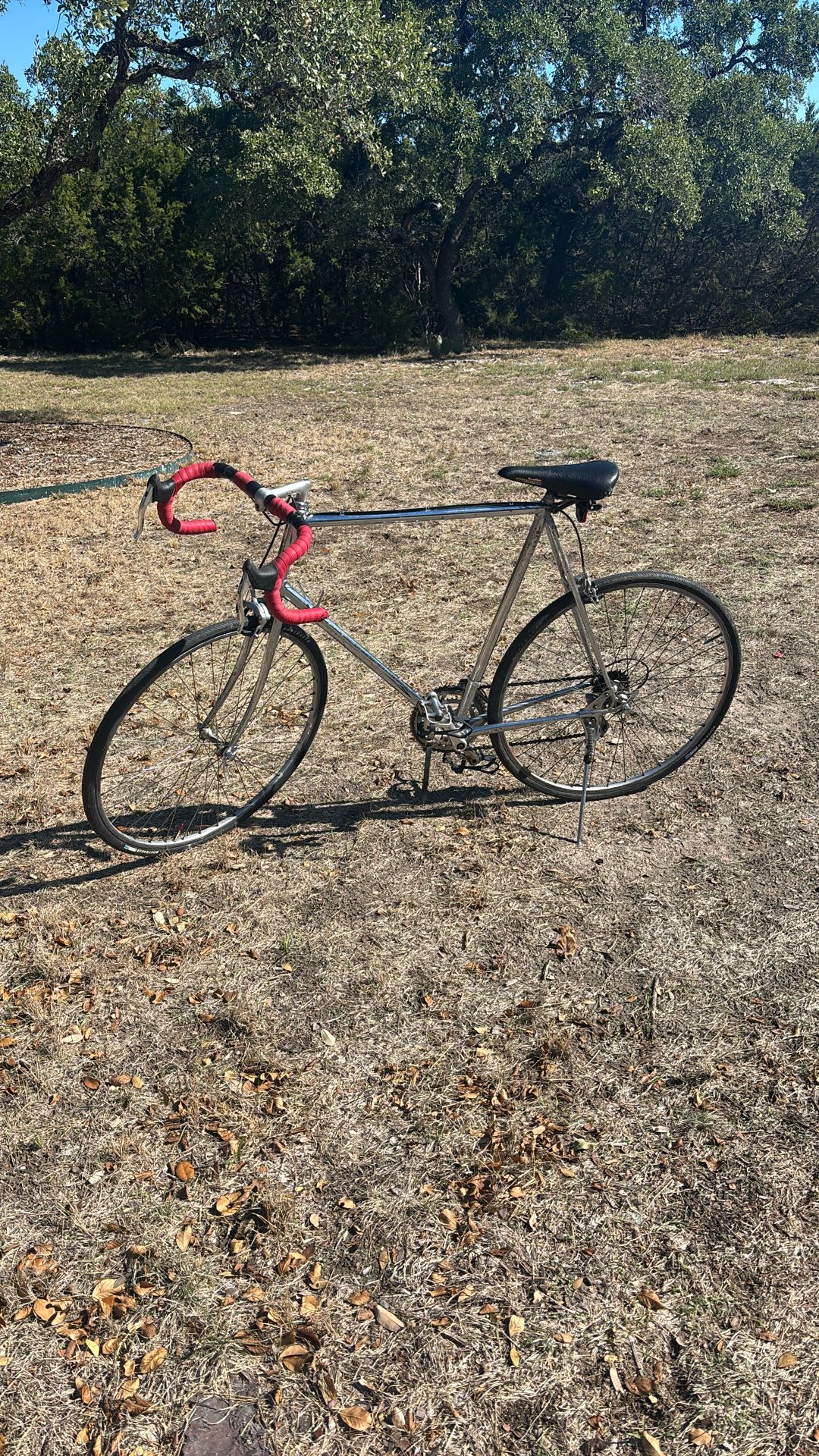 Silk 7 Speed Road Bike