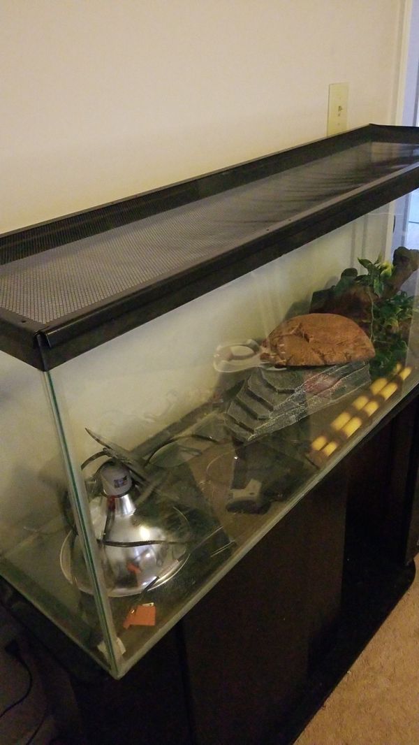 40 gallon reptile tank for Sale in Newport News, VA OfferUp