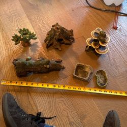 Leopard Gecko Lot