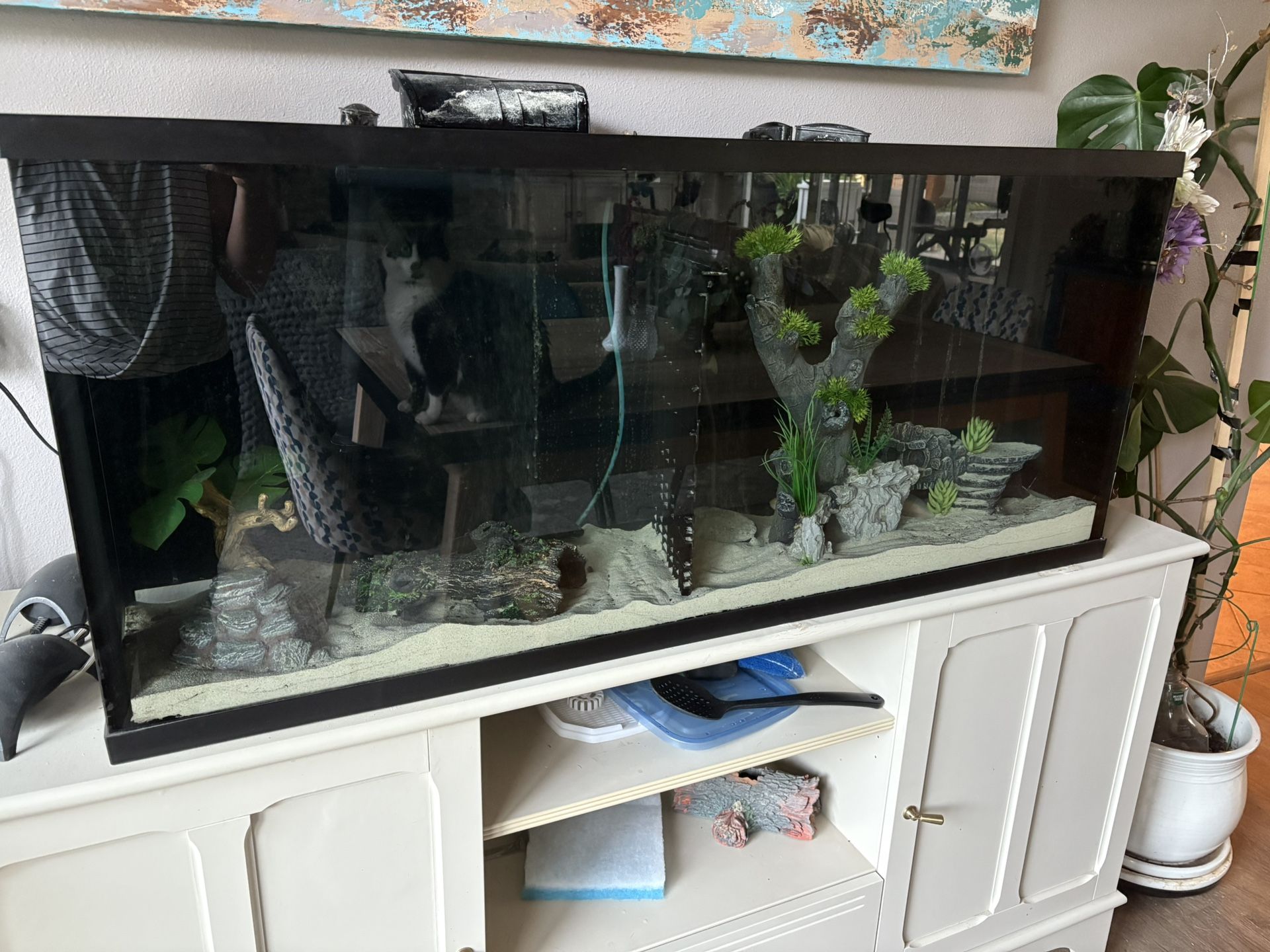 55 Gallon Tank EVERYTHING Included