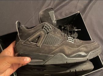 Black Cat Beaters