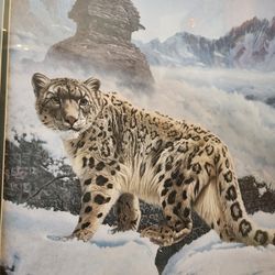 Snow Leopard Signed Print