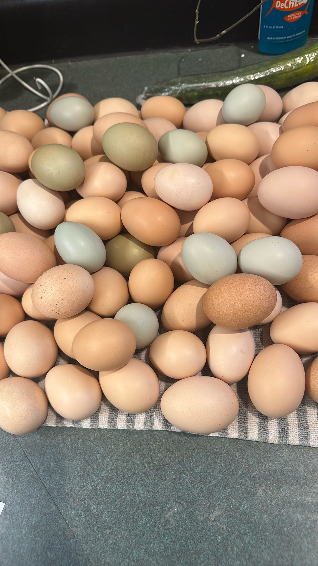 Farm Fresh Eggs