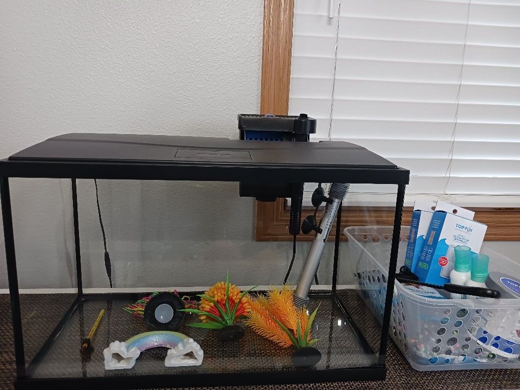 10 Gallon Fish Tank