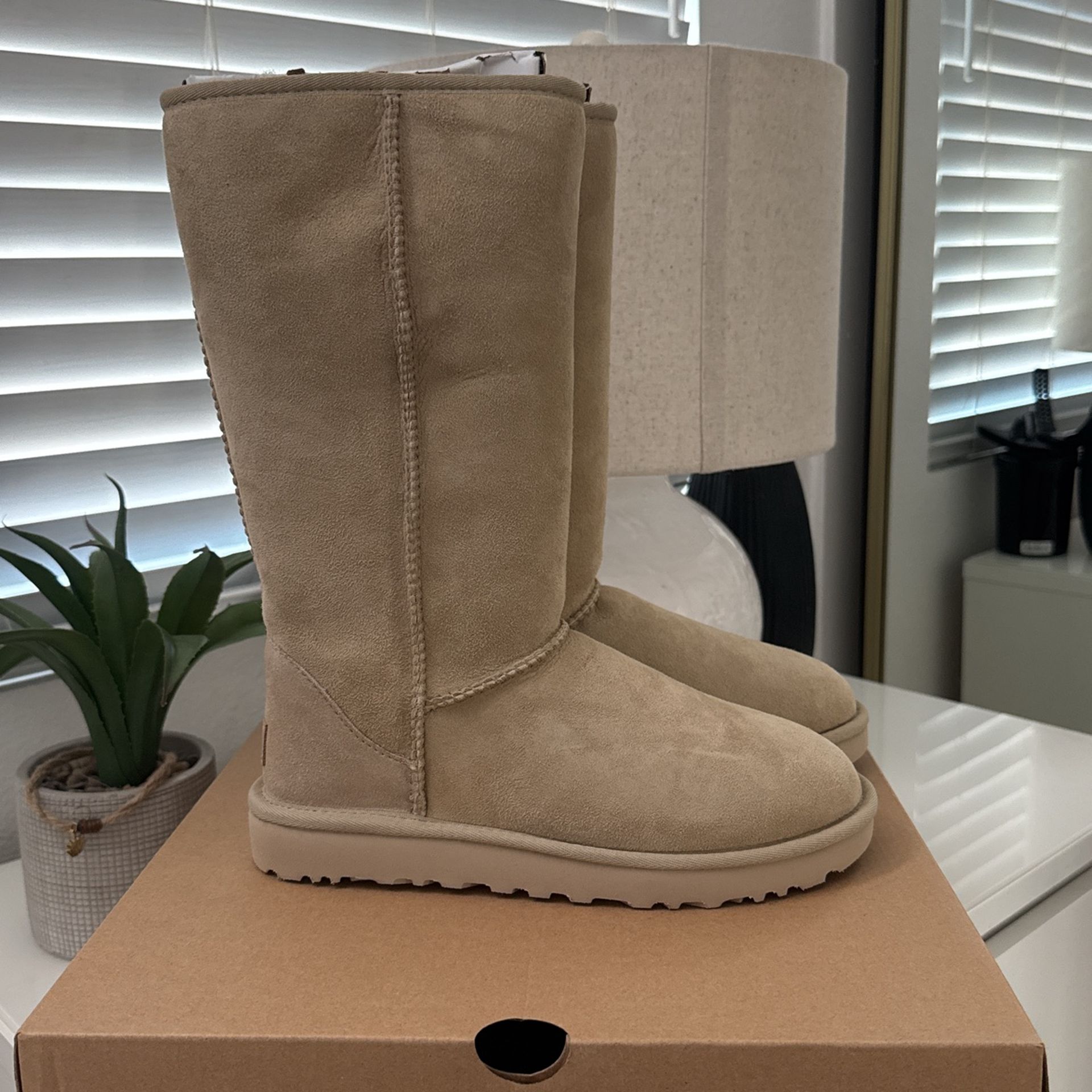 Uggs