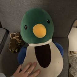Duck Stuff Animal 