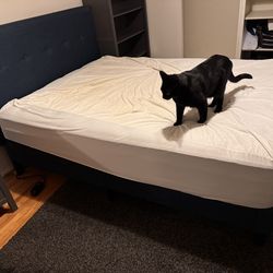 Queen size, dark blue padded bed frame