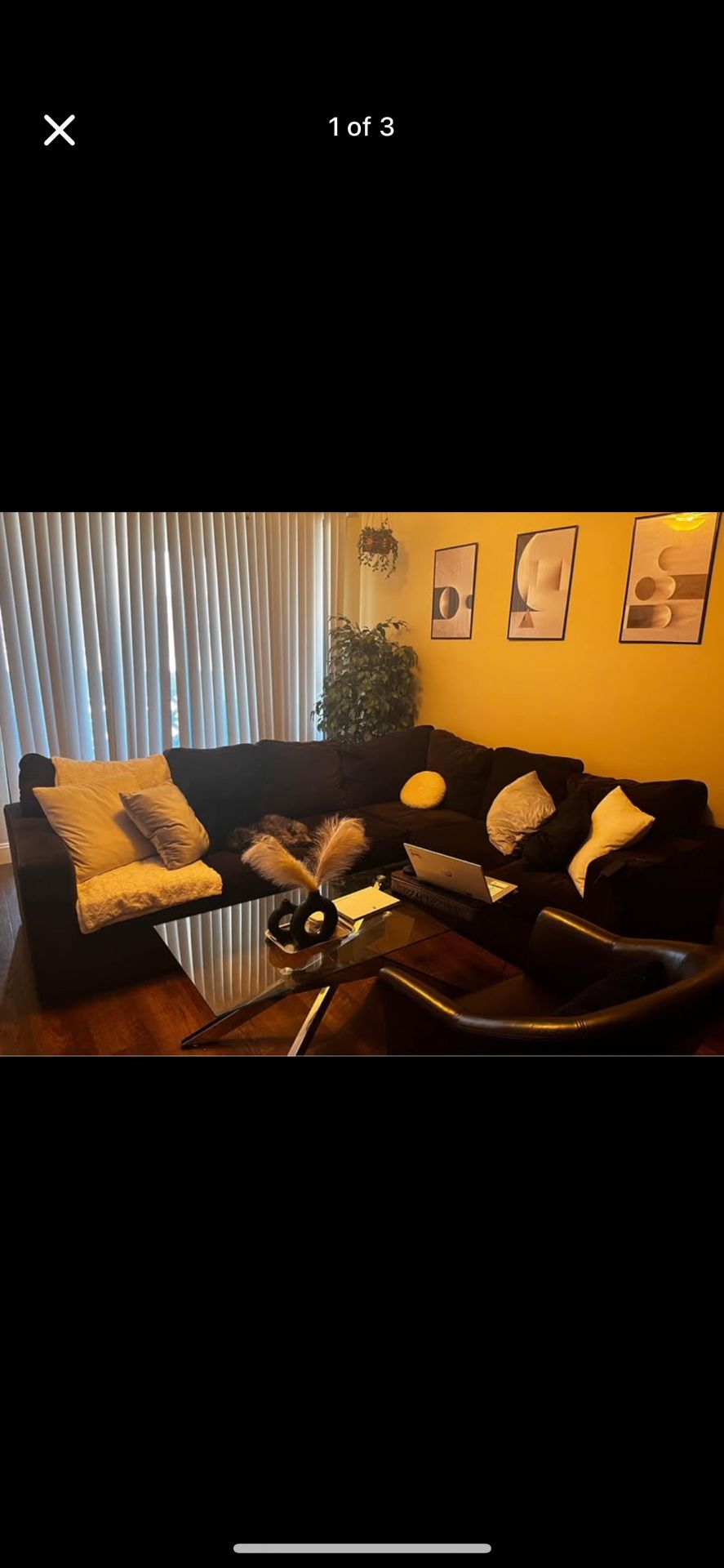 Sectional Couch