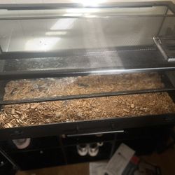 Reptile Tank 
