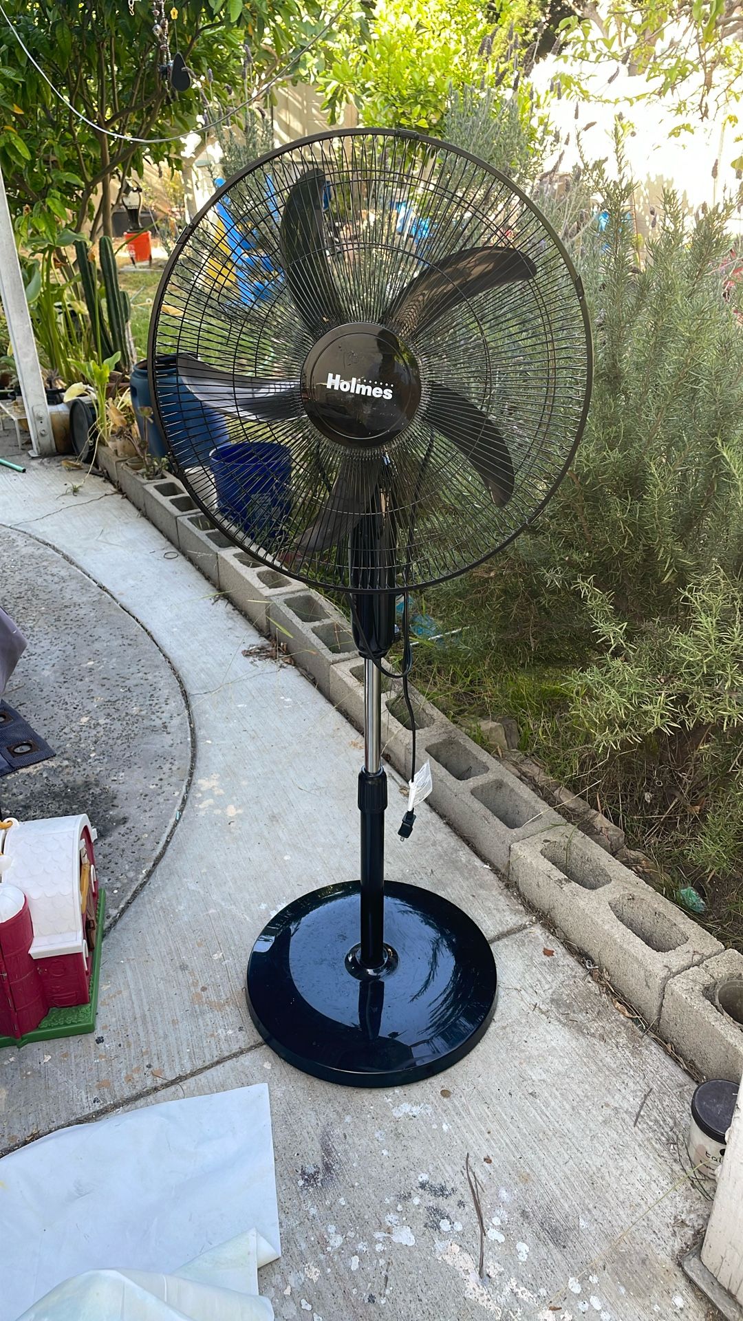 Fan