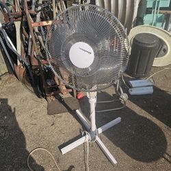 Price Is Firm. 18 Inch Pedestal Fan