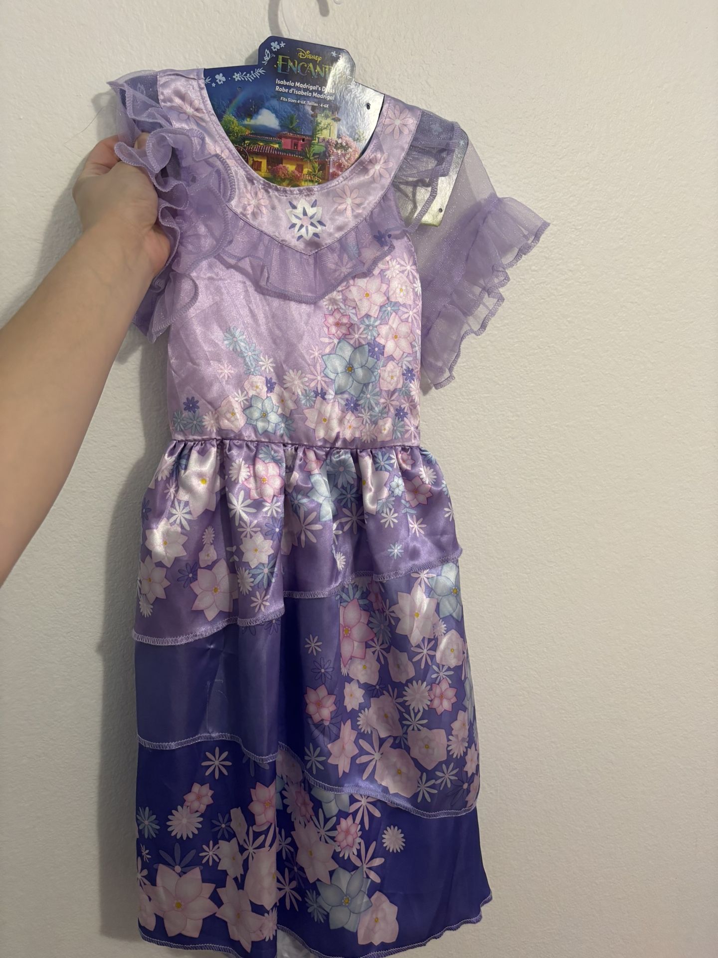 Isabella Encanto Costume 