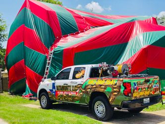 Fumigador de Termitas en carpa