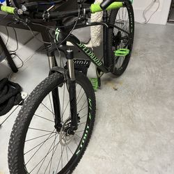 Specialized Rockhopper medium 2019 Expert 29 mountain bike