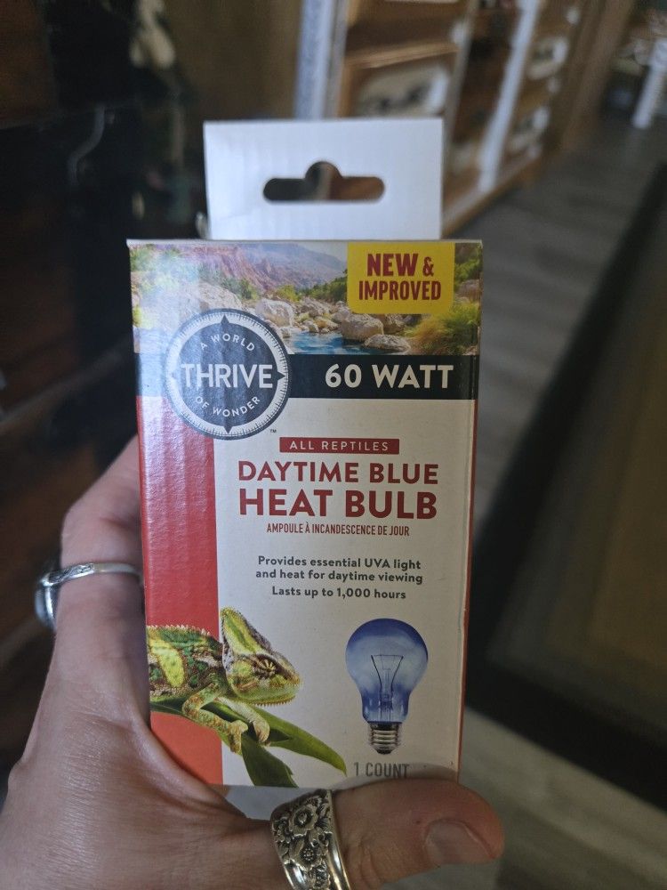 Daytime Blue Heat Lamp