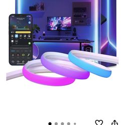 Govee Neon Rope Light for Wall Lining 