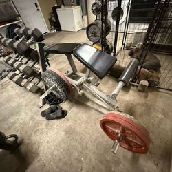 Body Solid Pro Club Line Leverage Leg Curl