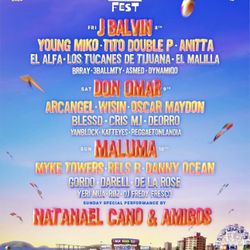 Baja Beach Fest 2025 VIP 