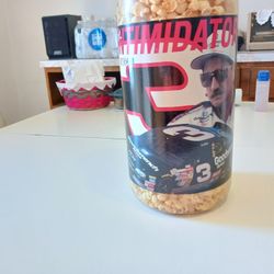 Vintage Dale Earnhardt Sr Popcorn Bank