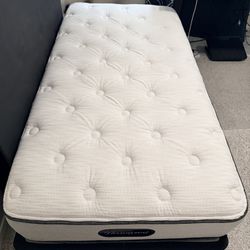 New Twin mattresses 