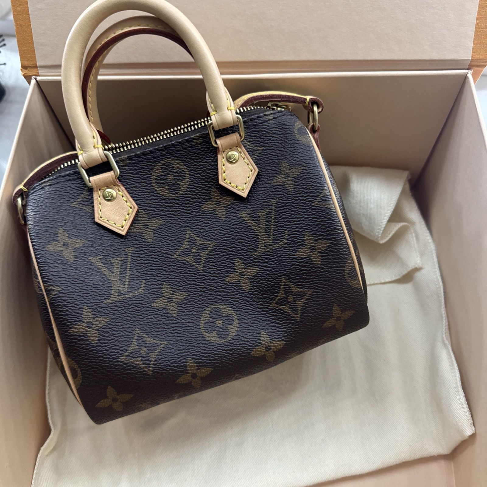 Louis Vuitton nano Speedy