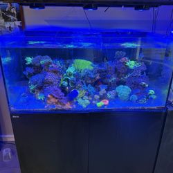 Red Sea Reefer 425 Xl 