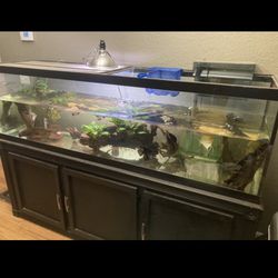 110G Fish Tank for Sale in Avon Park, FL - OfferUp
