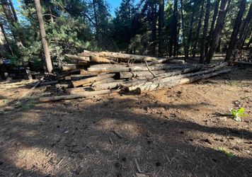 Free Pine Logs