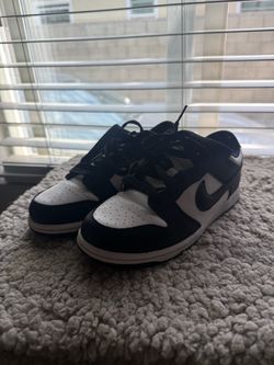 Kids Nike Dunks