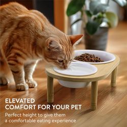 Navaris Raised Double Pet Bowl Stand