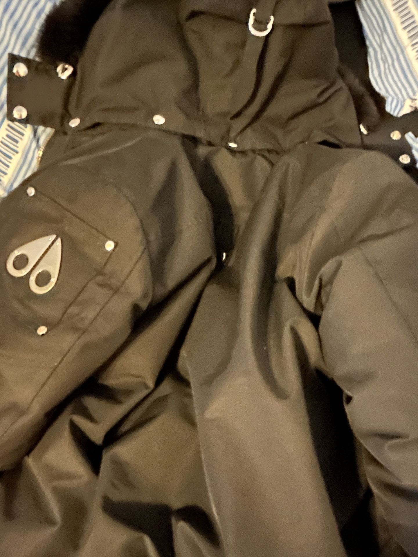 Moose knuckle Bomber