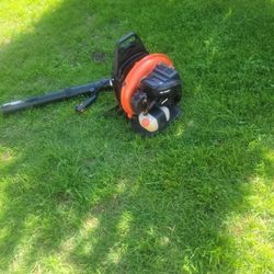 Echo Blower