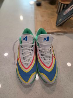 Nike A'One "Everlasting" A'ja Wilson men's 14