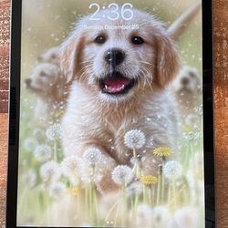 IPAD 7th Generation 15.6.1 Model Number A2197 128GB