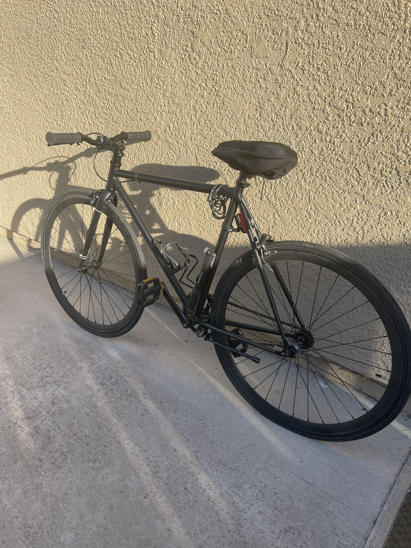 Free Wheeled or Fixed Wheel Bike