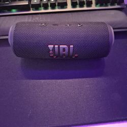 JBL Flip 6