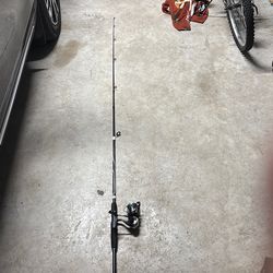 Fishing pole